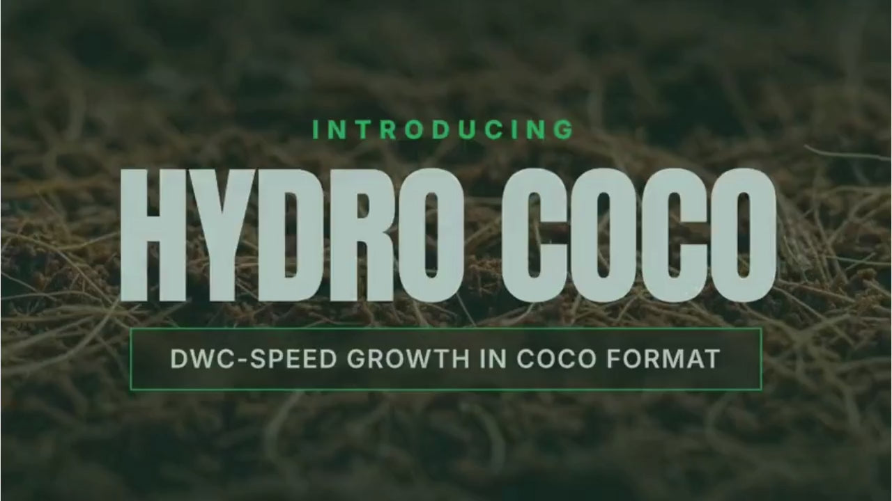 Hydro Coco | DWC Coco Growth | For Pros Only | High Frequency Fertigation Medium